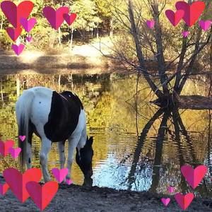 Meet your Posher, Kimberlee